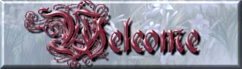 Welcome Banner
